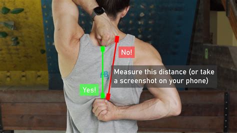 Shoulder Flexibility Test .